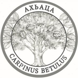 Carpinus-rev